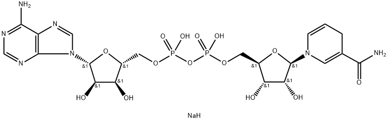606-68-8 NADH disodium salt 606-68-8 NADH disodium salt